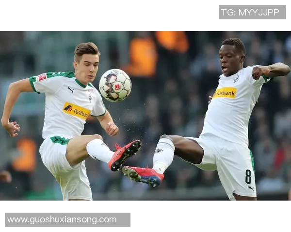 德甲沃尔夫斯堡主场失利，征程坎坷待挑战