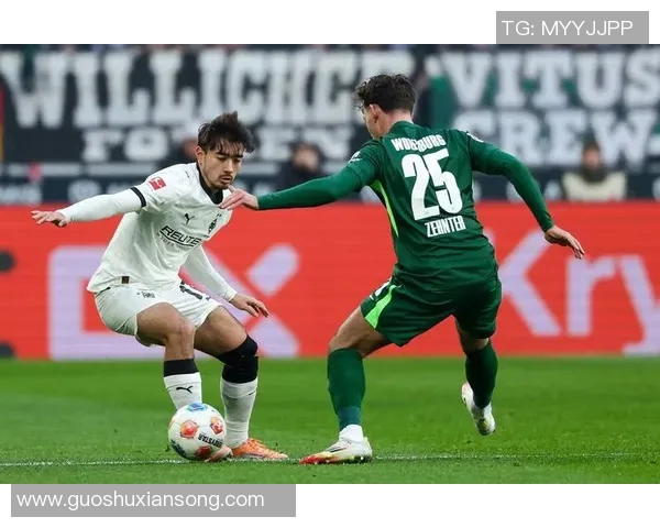 沃尔夫斯堡逼平门兴格拉德巴赫飙升德甲积分榜得分突破! 沃尔夫斯堡逼平门兴格拉德巴赫飙升德甲积分榜得分突破!